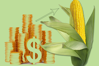 zmi-devalvatsia-grivnu