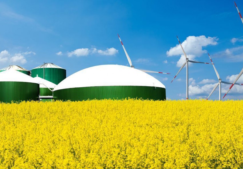 Газ з відходів, пальне з кукурудзи: перспективи України на шляху до енергонезалежності