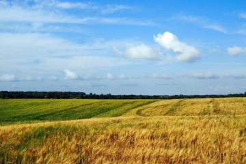 Які ризики є при знятті мораторію на продаж землі і як їх уникнути - позиція Сергія Лабазюка