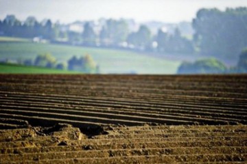 У парламенті мають намір продовжити мораторій на продаж землі до 2019 року