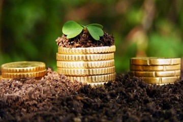 Комітет з питань аграрної політики підтримав продовження мораторію на продаж с\г земель