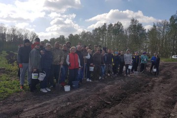 Спільна справа: у селі Соломна, Волочиського району, висадили 7 га лісу