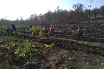Посади дерево – подбай про майбутнє