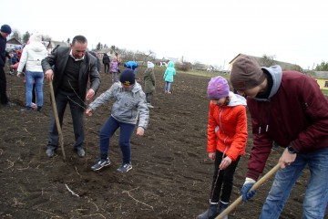 У Копачівці висадили фруктовий сад 