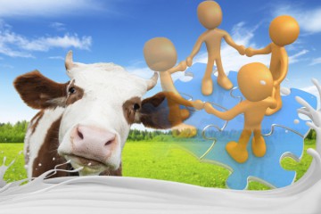 Сільськогосподарським кооперативам 