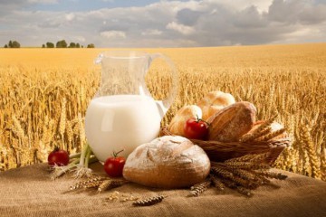 Вітання Сергія Лабазюка до Дня працівників харчової промисловості 