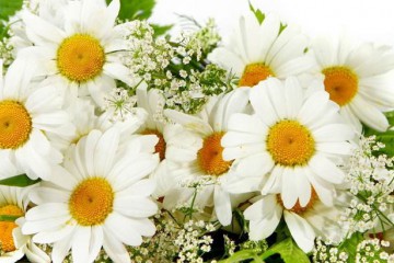 Вітання Сергія Лабазюка з Днем працівників культури 