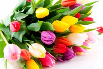 Вітання Сергія Лабазюка з Міжнародним жіночим днем!