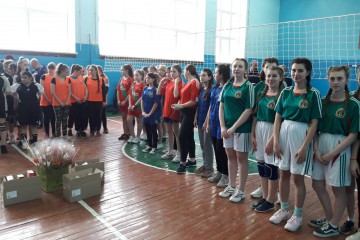 У громадських приймальнях триває робота