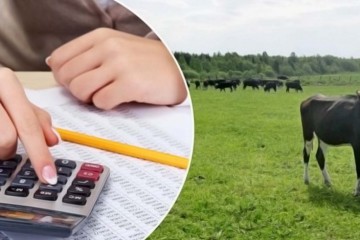 Сергій Лабазюк: Ми ухвалили закон, який дає можливість малим фермерам на рівних конкурувати з агрохолдингами!