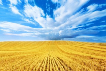 Вітання Сергія Лабазюка до Дня Незалежності 