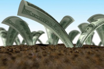 Інвестиції в аграрну галузь збільшаться після стабілізації ситуації та економічних реформ в країні