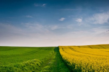 Лабазюк зареєстрував законопроект, який допоможе аграріям зекономити до 100 тисяч гривень