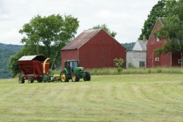 Німецький фермер бере позику під 4% річних на 20 років, а в нас - на три роки під 22%
