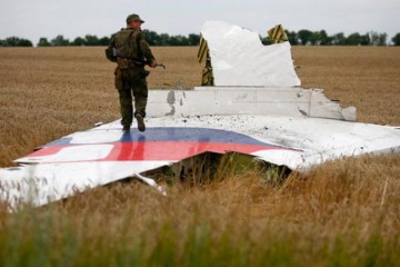 Сергій  Лабазюк:  Чіткої відповіді про причини катастрофи  Малазійського боїнга ми не почуємо до весни