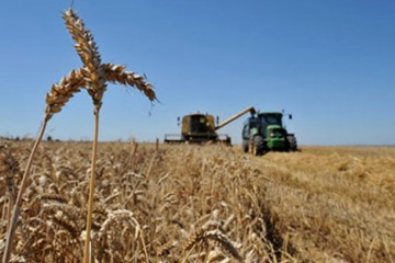 У Хмельницькому районі відсвяткували День працівника сільського господарства