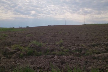 ВР України може обмежити можливість продажу землі без аукціону 